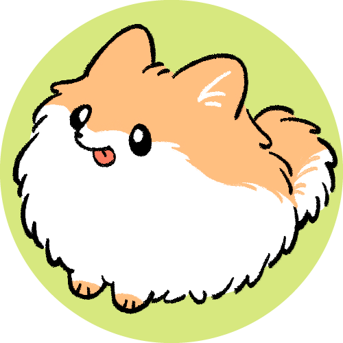 ポメラニアン②