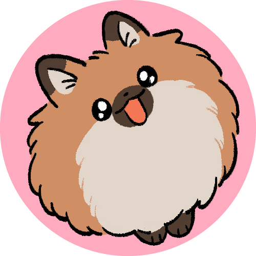 ポメラニアン⑤