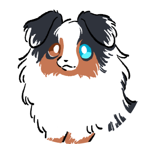 オーストラリアンシェパード（背景なし）