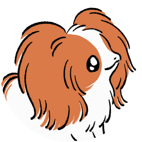 パピヨン（背景なし）