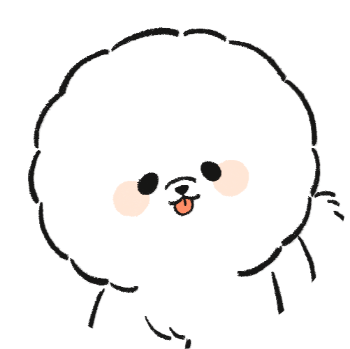 ビションフリーゼ（背景なし）