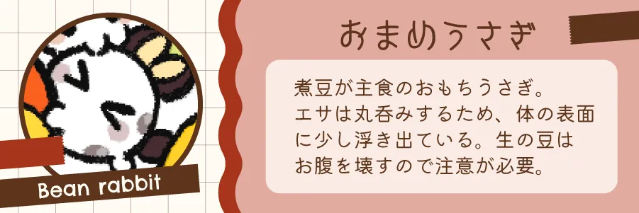 おまめうさぎ