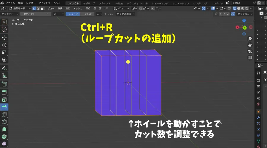 ループカットについて